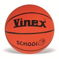 Vinex Basketball - School