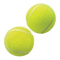 Vinex Lawn Tennis Ball - Club