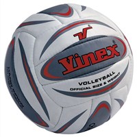 Vinex Volleyball - Champion