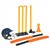 Cricket Training Set