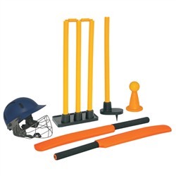 Cricket Training Set